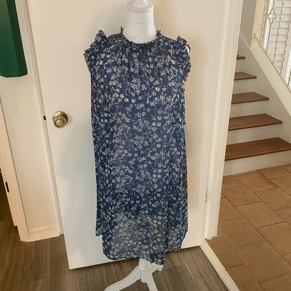 Banana Republic Dress SZ 4 Knee Length Sheer Blue Floral Ruffle Round Neck - Picture 1 of 5